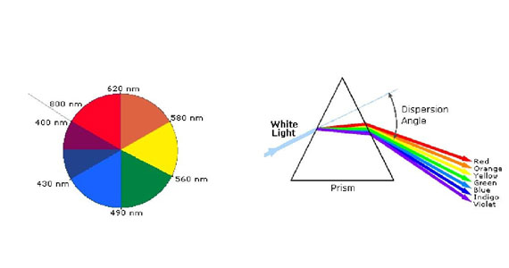 2019828164031944.jpg